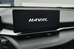 2023 Haval H6 2022 No.3generation 1.5T AT 2WDPro #13