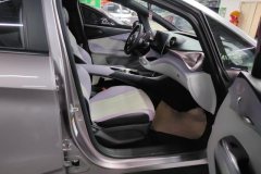 2022 BYD Dolphin 2021 401km knightEdition #8