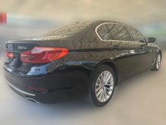2021 BMW 5 Series 2020 2.0T AT 530LiLeadingLuxury Pkg #6