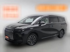 2024 Dongfeng Fengxing Dongfeng Fengxing Xinghai V9 2024 1.5TD 200km middleChina KnotSeries Exclusive #1