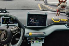 2024 BYD Seagull 2024 Glory 405KM flyEdition #13