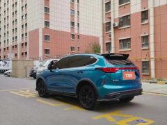 2021 Haval Chitu 2021 1.5T AT ProvokingEdition Platinumrabbit #7
