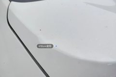 Trunk Lid