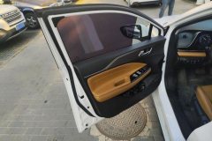 2020 Aion S 2019 Charming 530 EV #7