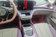 2022 BYD Dolphin 2021 405km Fashion #13