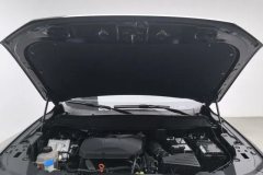 2024 Haval Big Dog Plus 2023 2.0T AT 2WDShionoEditionPlus #7