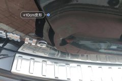 Trunk Lid