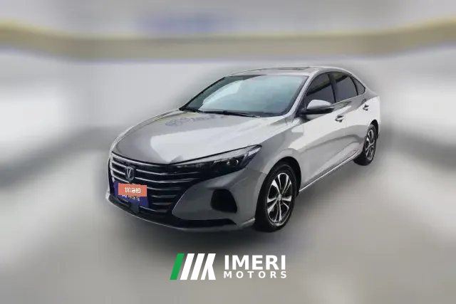 2021 Chang'an Eado 2020 1.6L AT PLUS Million Edition GDI Luxury