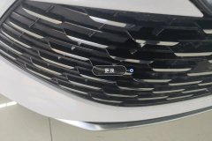 Intake Grille