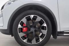 2024 BYD Tang New Energy 2024 DM-p Champion 1.5T AT 215KM 4WDFlagship #6