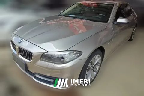 2017 BMW 5 Series 2017 2.0T AT 525LiLeading