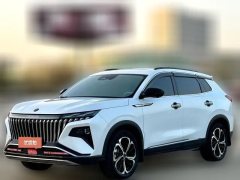 2022 Dongfeng Fengshen Haoji 2022 Mach Power 1.5T AT Dare to do itEdition.wisdom #1