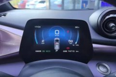 2022 BYD Dolphin 2021 405km Fashion #14