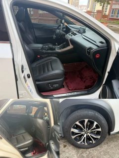 2015 Lexus NX 2016 2.0T AT 200t F-SPORT4WD (Imported) #11