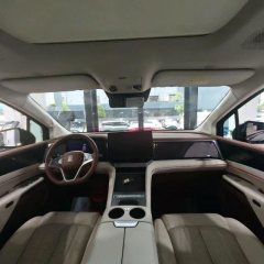 2025 BYD Xia 2025 DM-i 1.5T AT 180km excellence #7