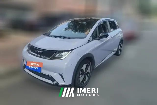 2023 BYD Dolphin 2023 420km Fashion