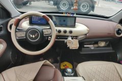 2025 Wuling Motors Wuling Bingo 2024 333km Joy #11