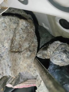 Left Rear Carpet (with Trim)