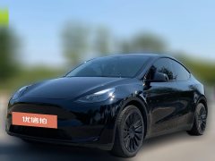 2022 Tesla Model Y 2021StandardBattery lifeRWDEdition #1