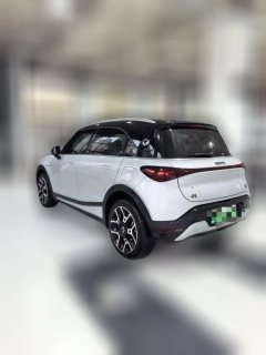 2025 smart #1 2024 Pro+ #2
