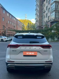 2024 Haval H6 2023 China tideEdition 1.5T AT Champion #5