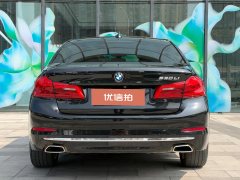 2020 BMW 5 Series 2020 2.0T AT 530LiExclusiveLuxury Pkg #6