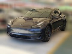 2020 Tesla Model 3 2019 StandardBattery lifeRWDUpgradeEdition EV #1