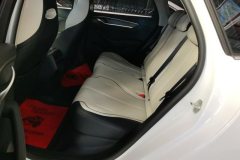 2024 BYD Destroyer 05 2024 Glory 1.5L AT DM-i 55KM Luxury #11