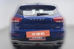 2020 Haval H6 2020 1.5T AT PlatinumChampion #4