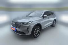 2023 Haval H6 2022 No.3generation 1.5T AT 2WDMax #1
