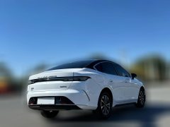 2024 BYD Destroyer 05 2024 Glory 1.5L AT DM-i 55KM Luxury #4