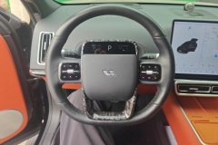 2024 Li Auto Li Auto L7 2024 MAX #15