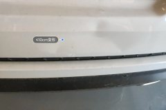 Trunk Lid