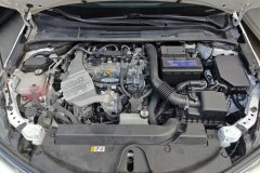 2023 Toyota Corolla 2022 1.2T S-CVT AT pioneerPLUSEdition #10