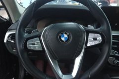 2021 BMW 5 Series 2021 2.0T AT 530LiLeadingLuxury Pkg #15