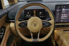 2024 Voyah Dreamer 2025 1.5T AT PHEV 4WDNoble KunpengEdition #15