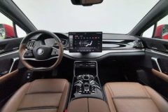 2020 BYD Tang PHEV 2021 2.0T AT DM 4WDHigh PerformanceHonor #14