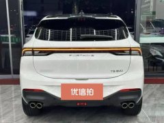 2023 Dongfeng Fengxing Fengxing T5 2022 prosperous age 1.5T AT distant dreamEdition7Seat #10
