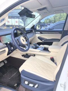 2023 Tank 500 PHEV 2023 2.0T AT Hi4-T #7
