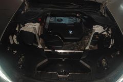 2021 BMW 5 Series 2021 2.0T AT 530LiLeadingLuxury Pkg #10