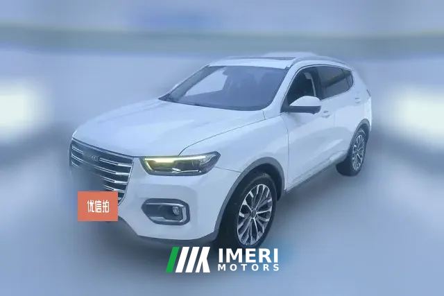 2019 Haval H6 2020 1.5T AT PlatinumChampion