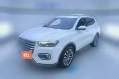 2019 Haval H6 2020 1.5T AT PlatinumChampion #1