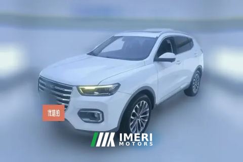 2019 Haval H6 2020 1.5T AT PlatinumChampion