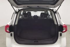 2023 Dongfeng Fengxing Fengxing T5 2021 1.5T AT Comfort #20