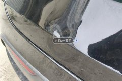 Trunk Lid