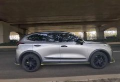2022 Haval Chitu 2021 1.5T AT ProvokingEdition golden rabbit #7