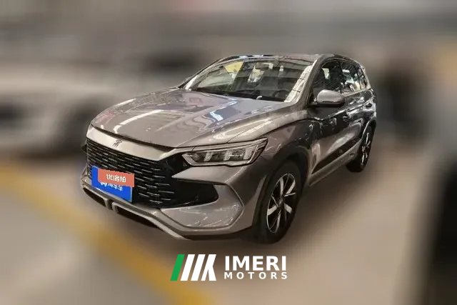 2024 BYD Song Pro PHEV 2024 Glory 1.5L AT DM-i 71KMPilot