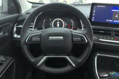 2022 Haval H6 2021 1.5T AT China tideChampion #15