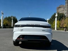 2024 BYD Destroyer 05 2024 Glory 1.5L AT DM-i 55KM Luxury #9
