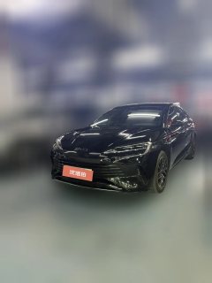 2024 BYD Seal 2024 Glory DM-i 1.5T AT 121km Flagship #1
